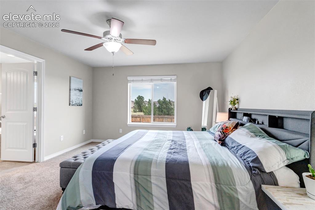 6103 Cider Mill Place Colorado Springs CO 80925