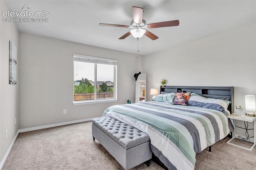 6103 Cider Mill Place Colorado Springs CO 80925