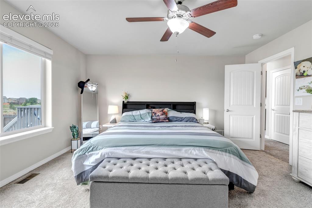 6103 Cider Mill Place Colorado Springs CO 80925