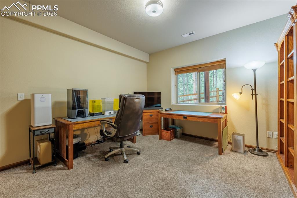 135 Cirrus Court Woodland Park CO 80863
