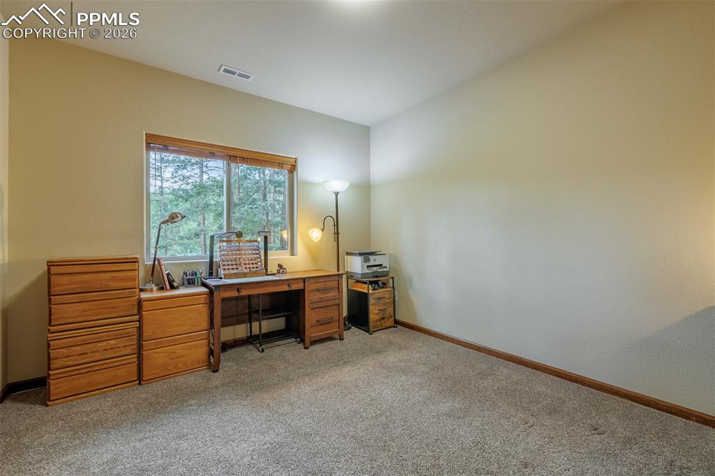 135 Cirrus Court Woodland Park CO 80863