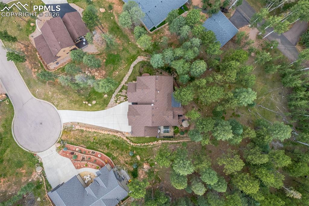 135 Cirrus Court Woodland Park CO 80863