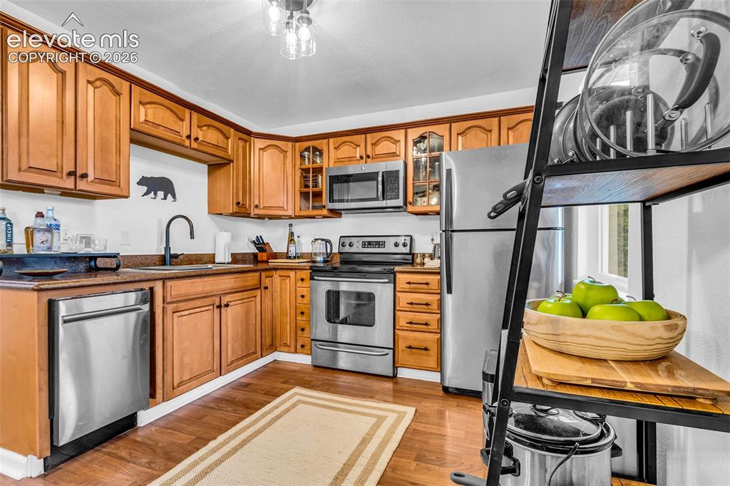 386 Prunes Place Fairplay CO 80440