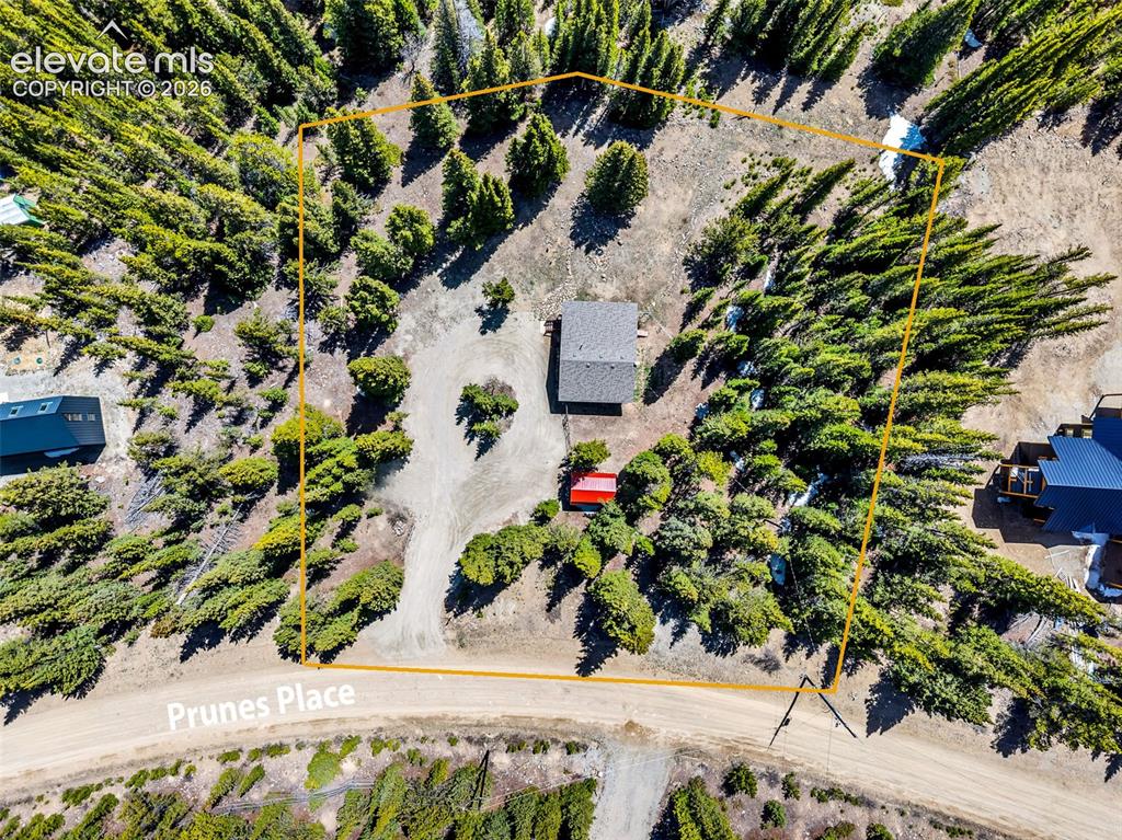 386 Prunes Place Fairplay CO 80440