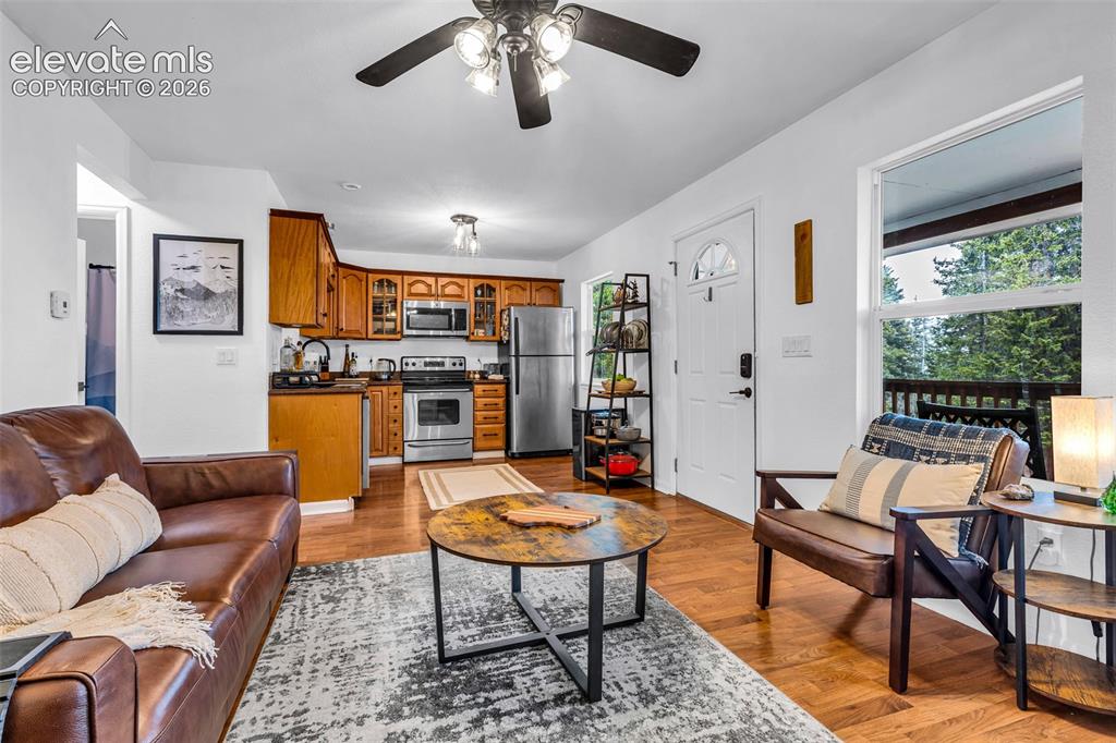 386 Prunes Place Fairplay CO 80440