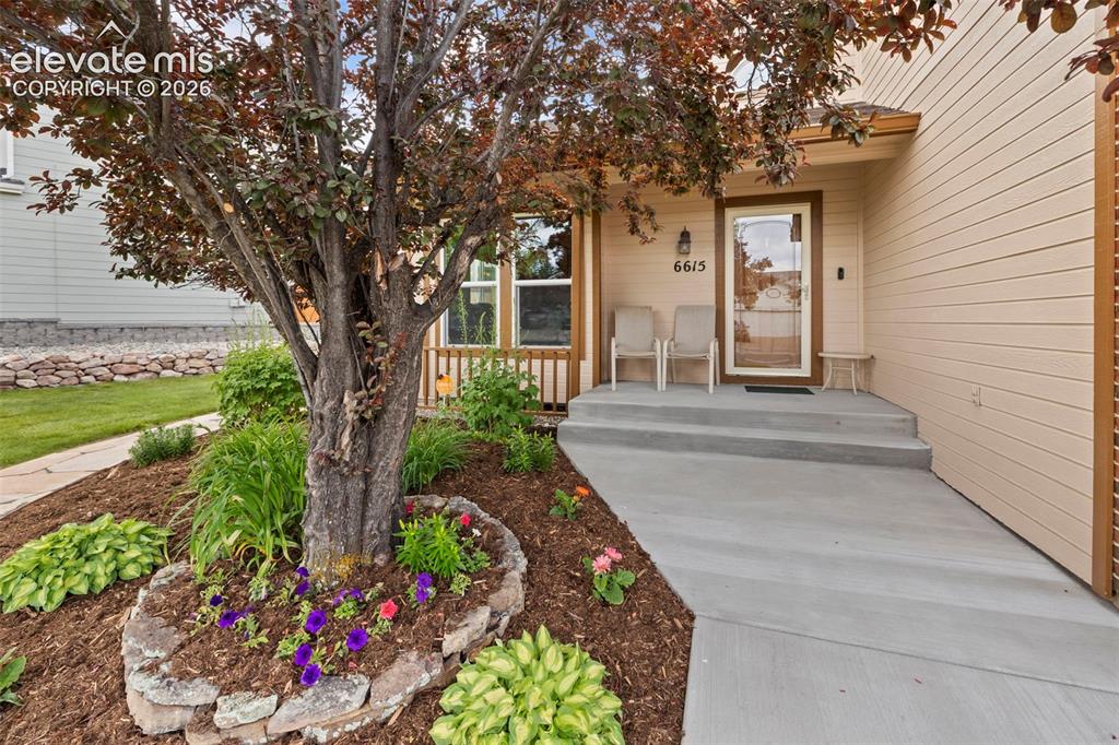 6615 Holt Drive Colorado Springs CO 80922
