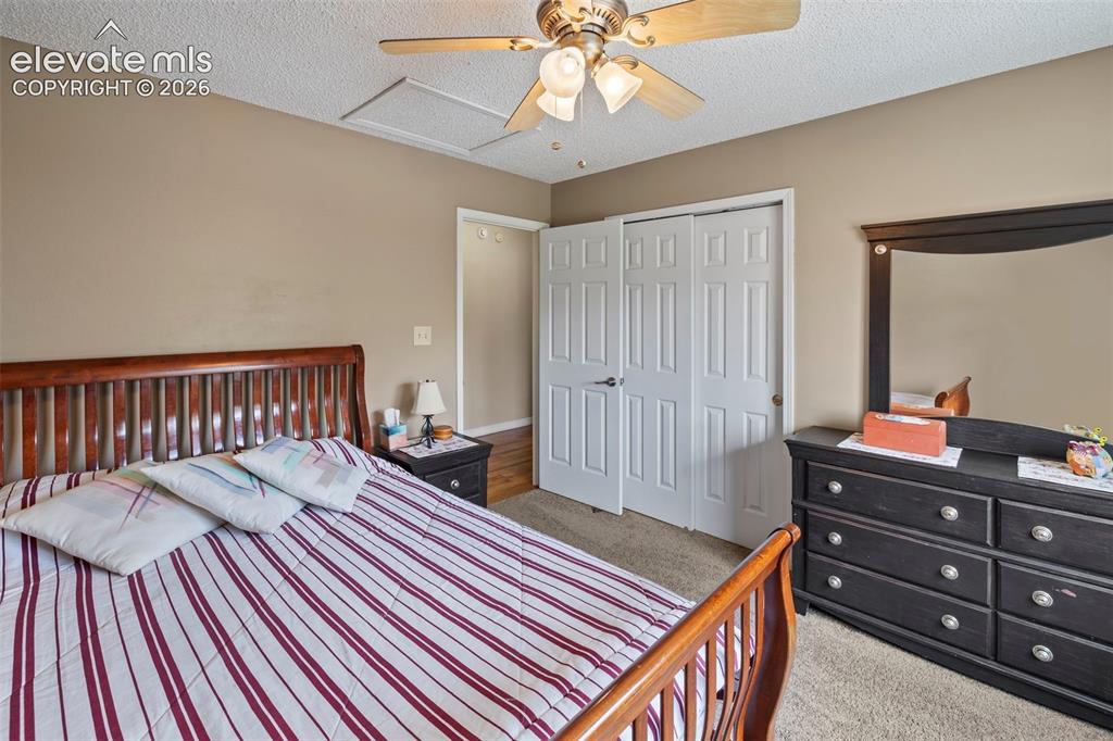6615 Holt Drive Colorado Springs CO 80922
