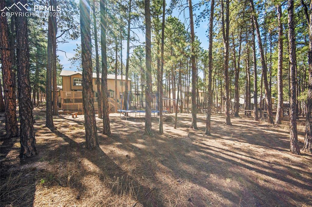 15973 Longmeadow Lane Colorado Springs CO 80921