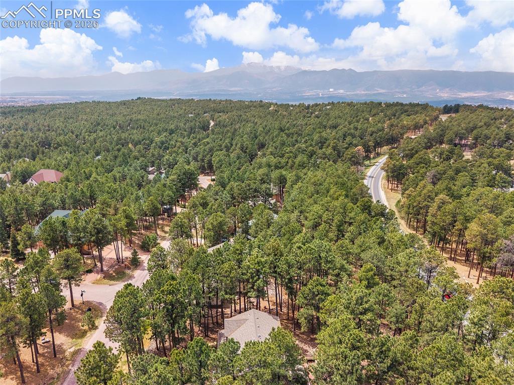 15973 Longmeadow Lane Colorado Springs CO 80921