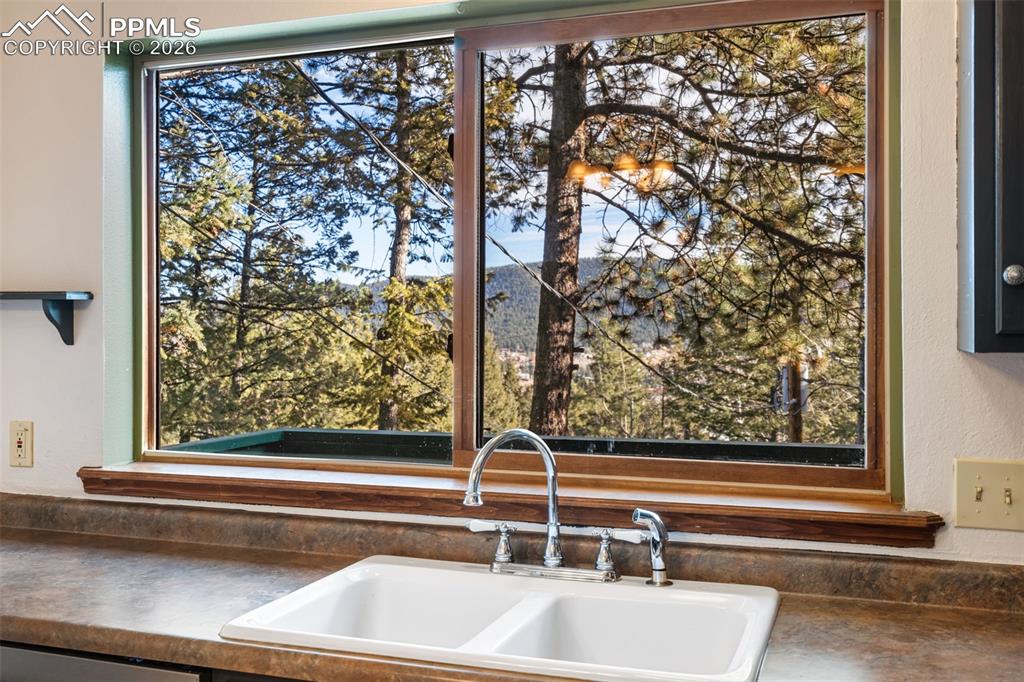 464 Evergreen Court Woodland Park CO 80863