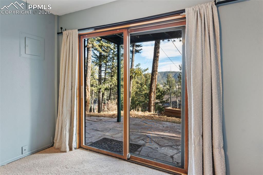 464 Evergreen Court Woodland Park CO 80863