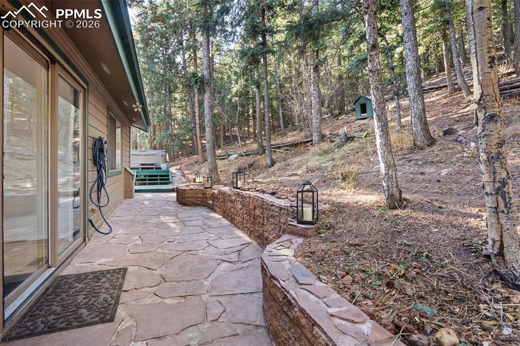 464 Evergreen Court Woodland Park CO 80863