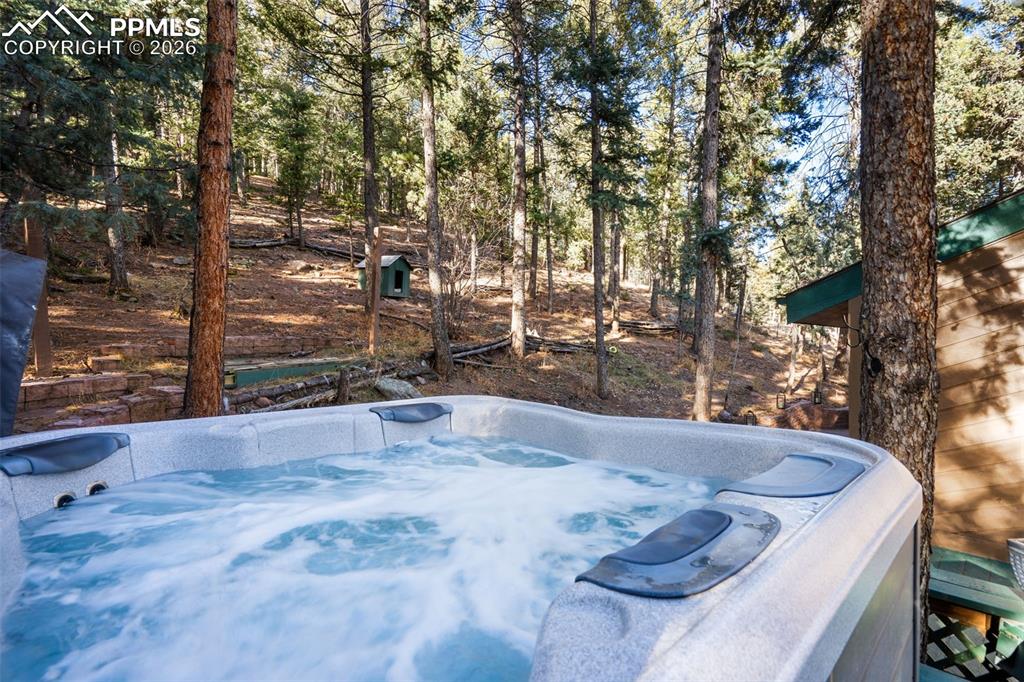 464 Evergreen Court Woodland Park CO 80863