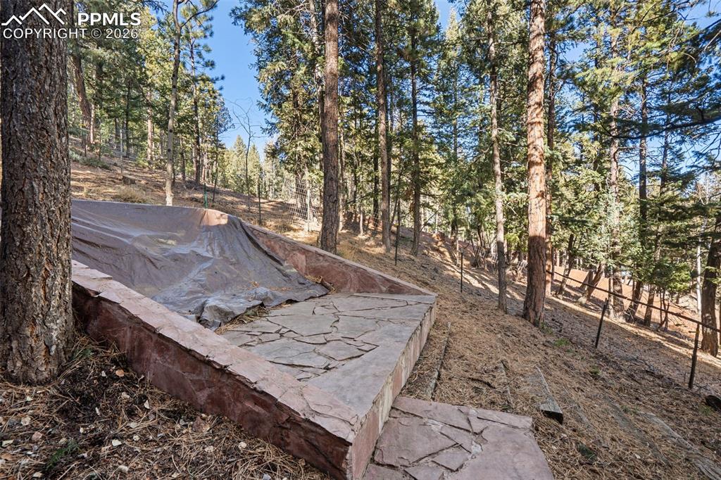 464 Evergreen Court Woodland Park CO 80863
