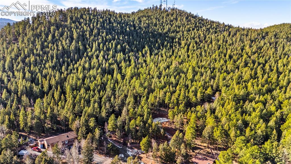 464 Evergreen Court Woodland Park CO 80863