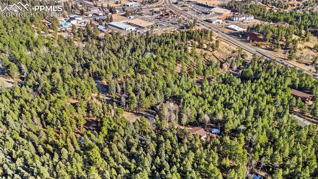 464 Evergreen Court Woodland Park CO 80863