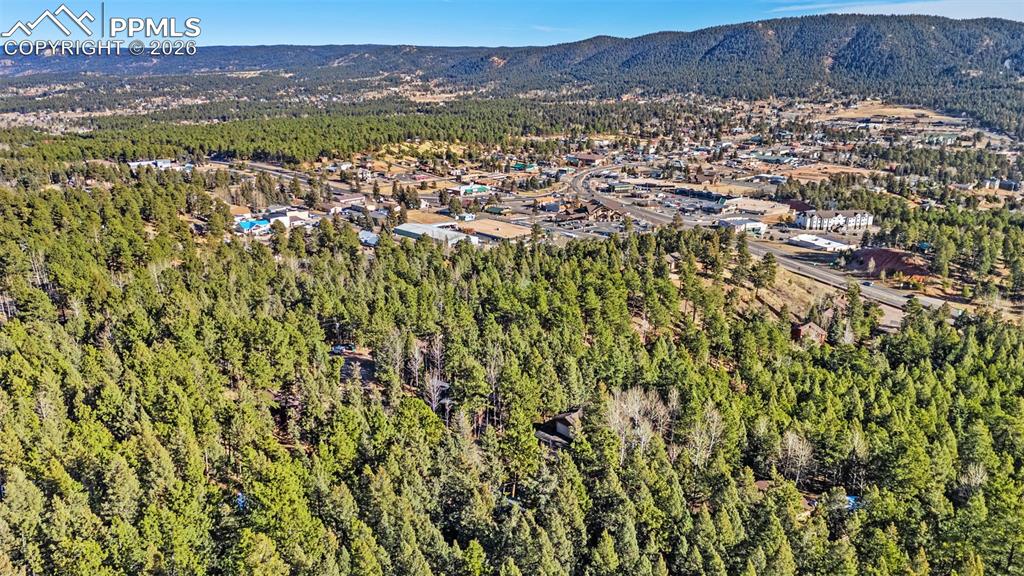 464 Evergreen Court Woodland Park CO 80863