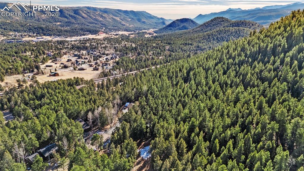 464 Evergreen Court Woodland Park CO 80863