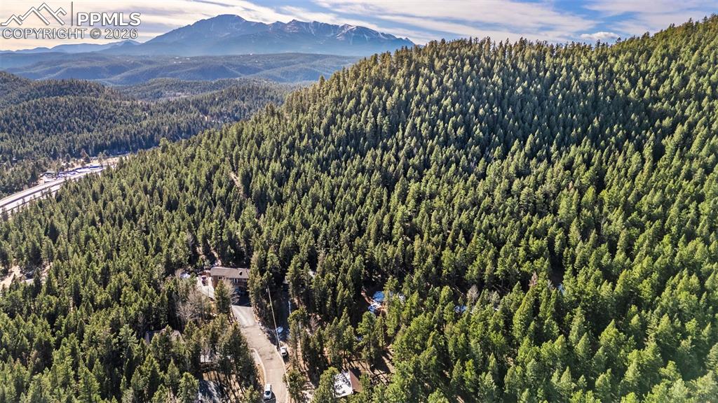 464 Evergreen Court Woodland Park CO 80863