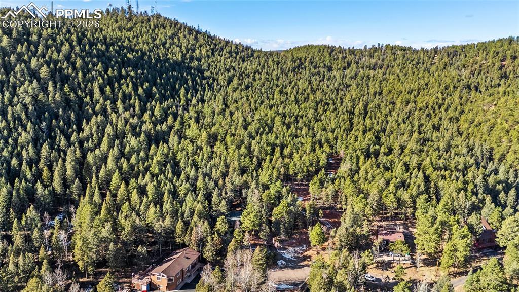 464 Evergreen Court Woodland Park CO 80863