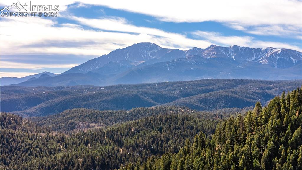 464 Evergreen Court Woodland Park CO 80863