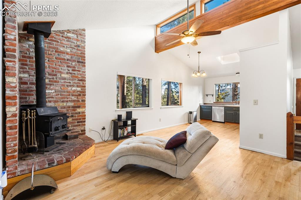 464 Evergreen Court Woodland Park CO 80863