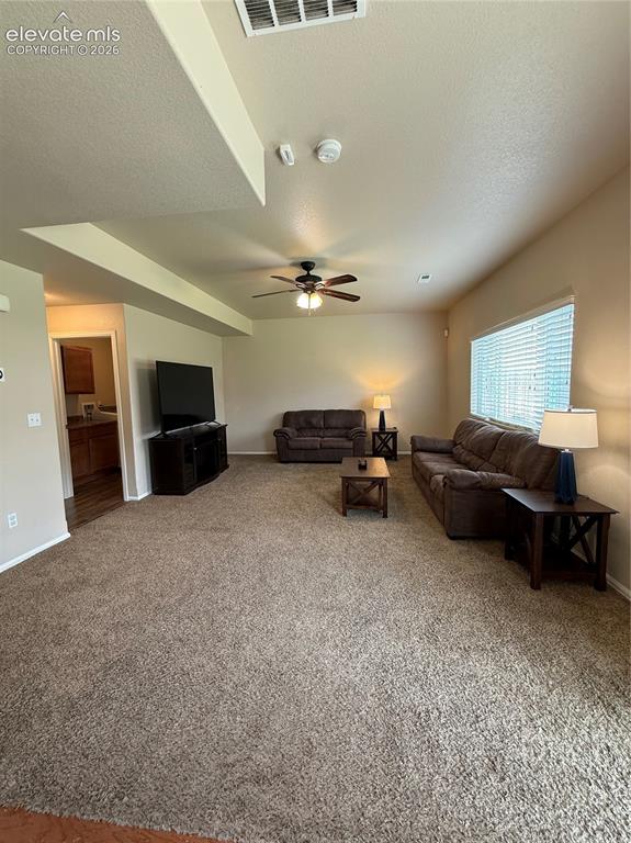 3715 Chia Drive Colorado Springs CO 80925
