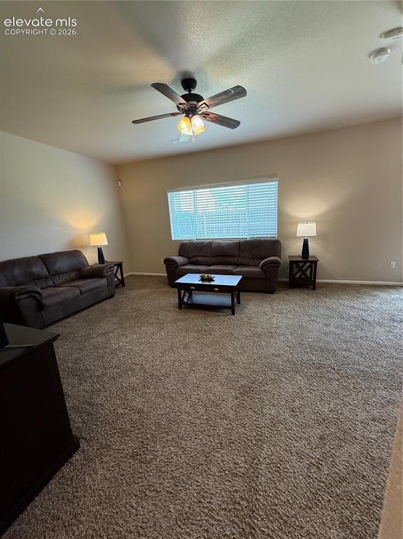 3715 Chia Drive Colorado Springs CO 80925