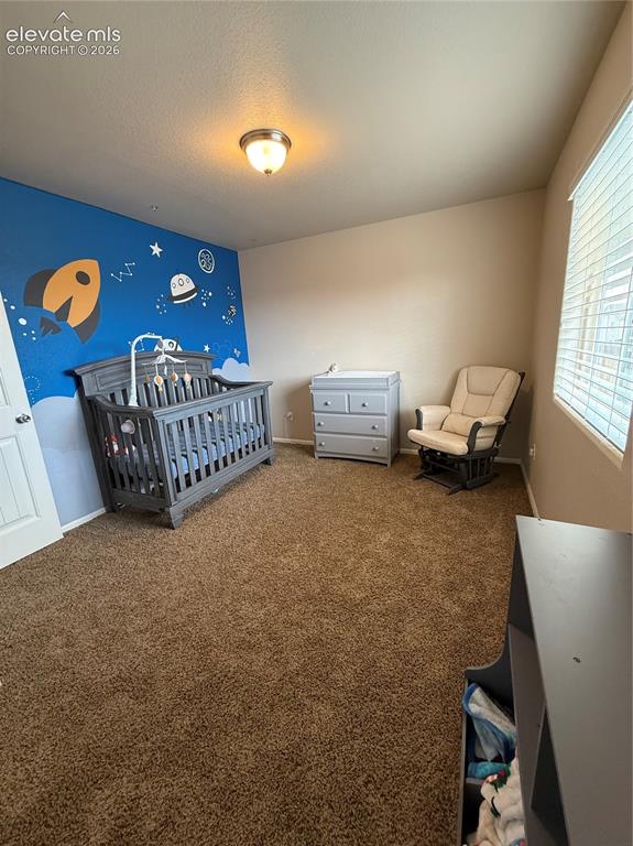 3715 Chia Drive Colorado Springs CO 80925