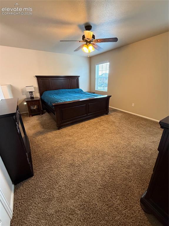 3715 Chia Drive Colorado Springs CO 80925