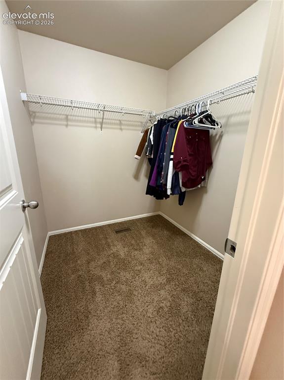 3715 Chia Drive Colorado Springs CO 80925