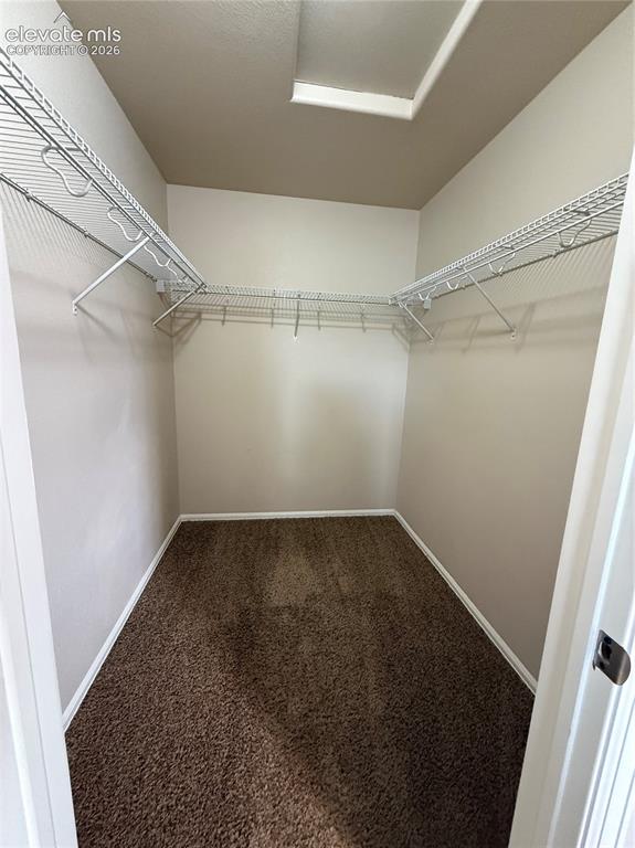 3715 Chia Drive Colorado Springs CO 80925