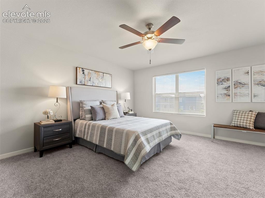 5951 Mumford Drive Colorado Springs CO 80925