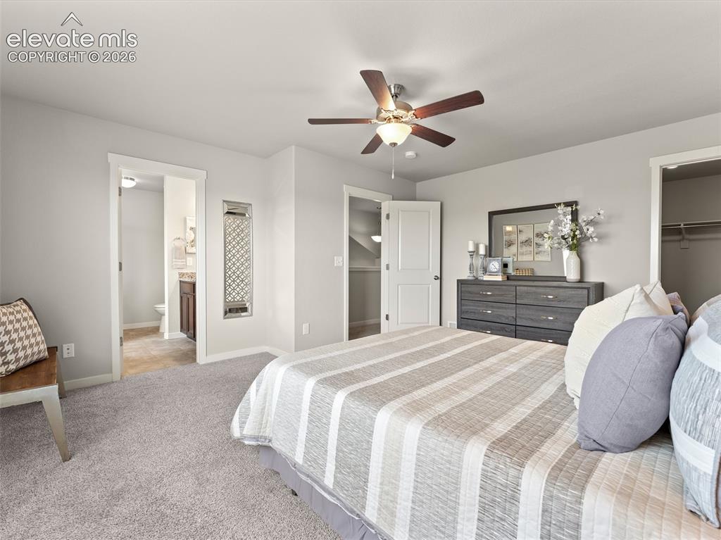 5951 Mumford Drive Colorado Springs CO 80925