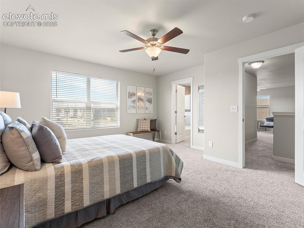 5951 Mumford Drive Colorado Springs CO 80925