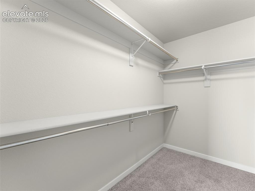 5951 Mumford Drive Colorado Springs CO 80925