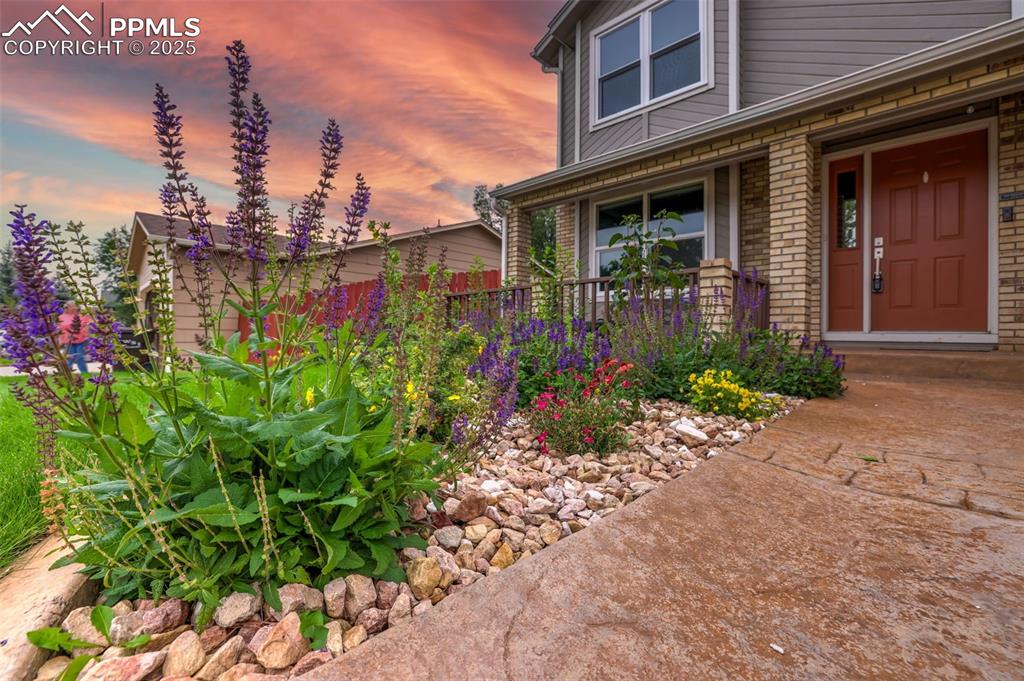 1065 Harbourne Street Colorado Springs CO 80911