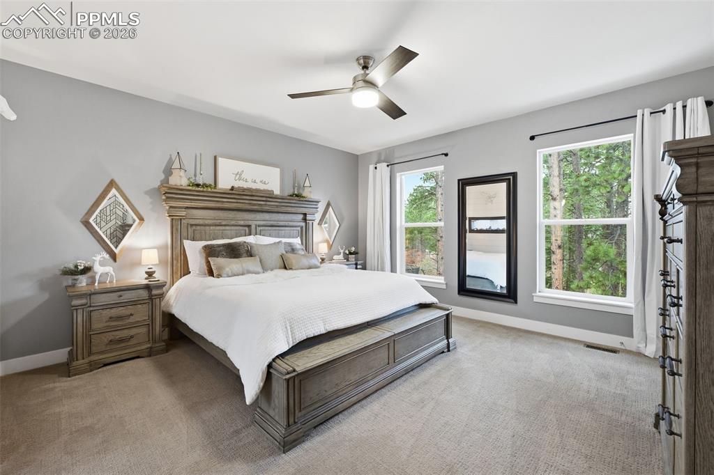1426 Shady Glen Lane Monument CO 80132