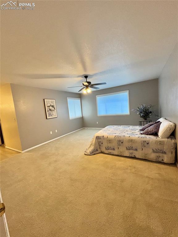 204 Bridle Trail Pueblo CO 81005