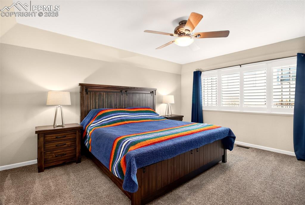 3927 Coral Point Colorado Springs CO 80917