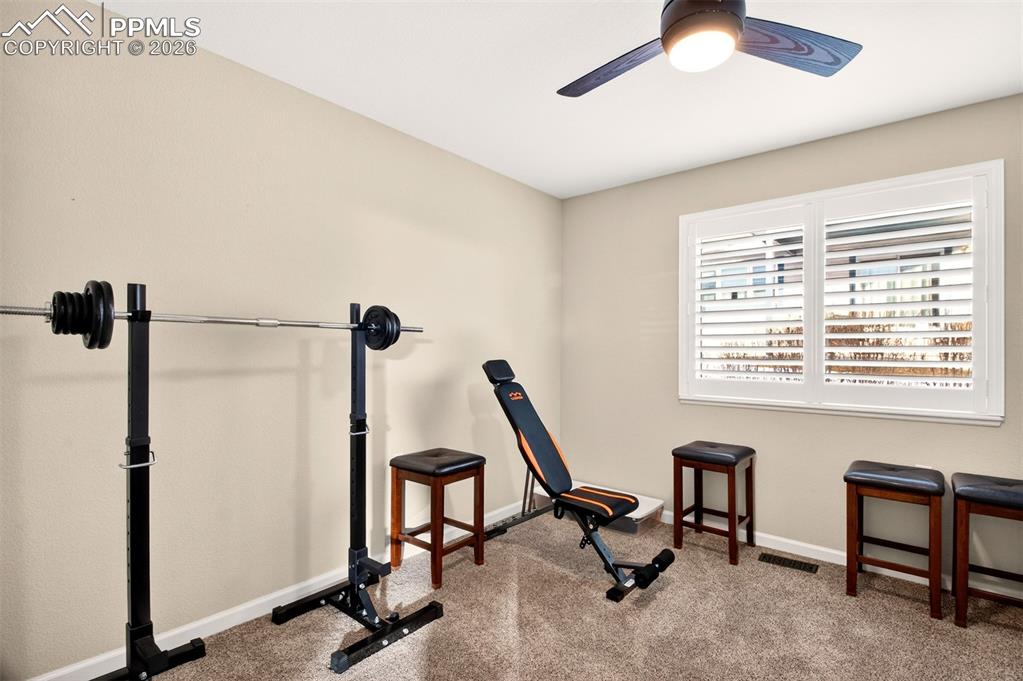 3927 Coral Point Colorado Springs CO 80917