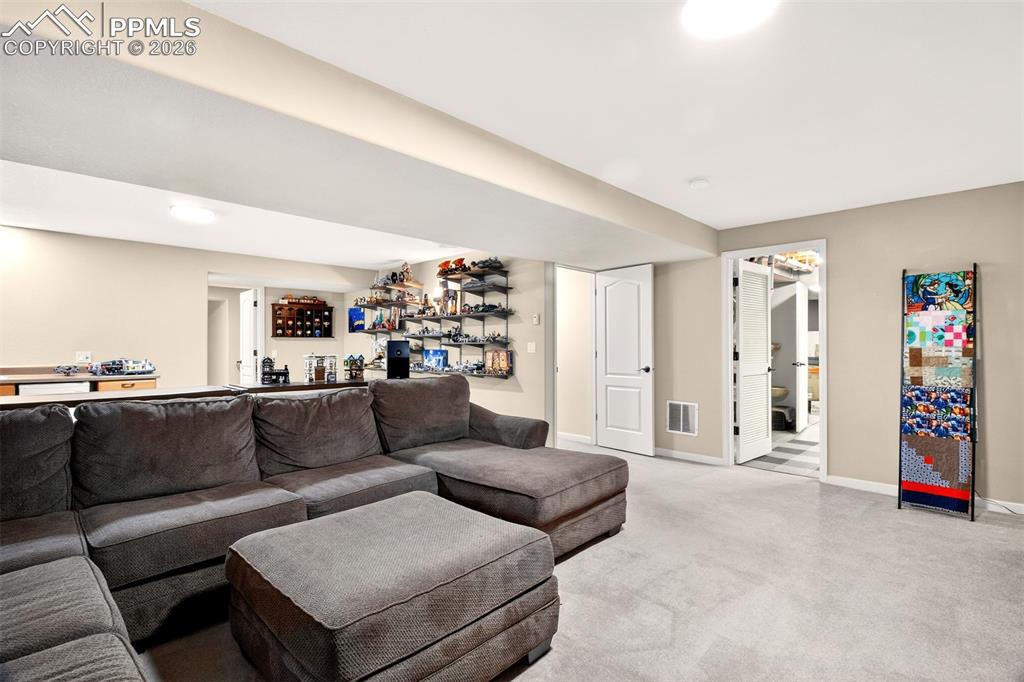 3927 Coral Point Colorado Springs CO 80917