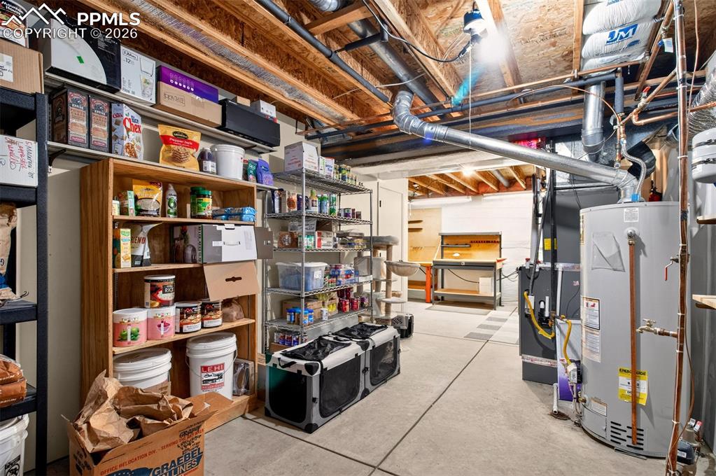 3927 Coral Point Colorado Springs CO 80917