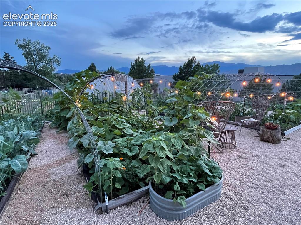 1911 Copley Road Colorado Springs CO 80920