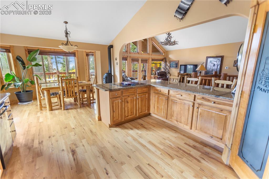 610 Cochetopa Road Florissant CO 80816