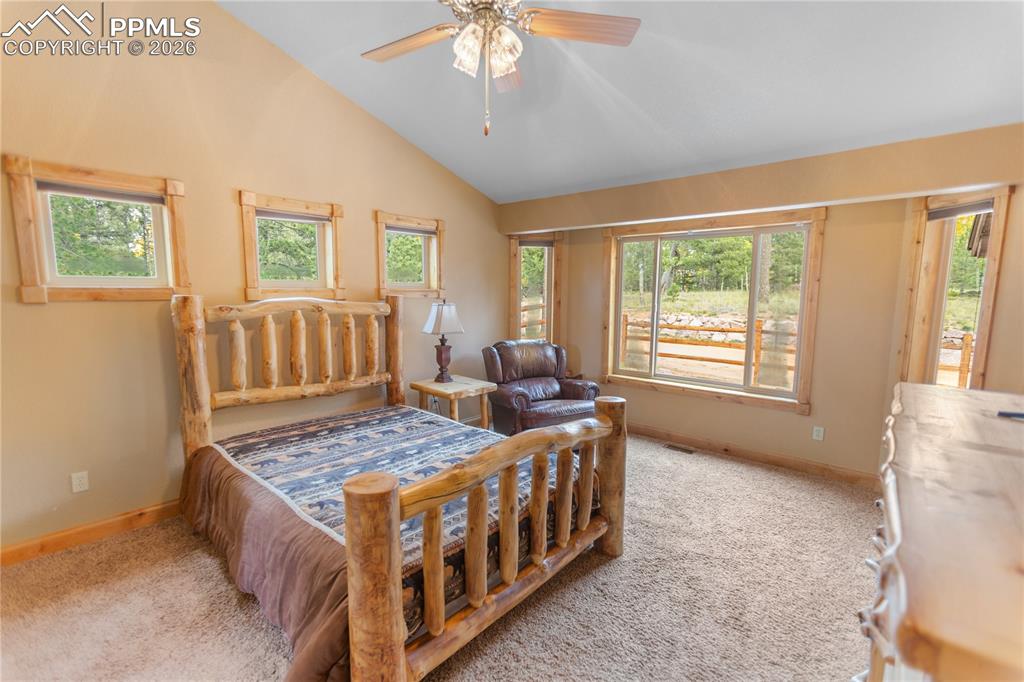 610 Cochetopa Road Florissant CO 80816