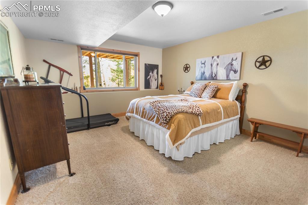 610 Cochetopa Road Florissant CO 80816