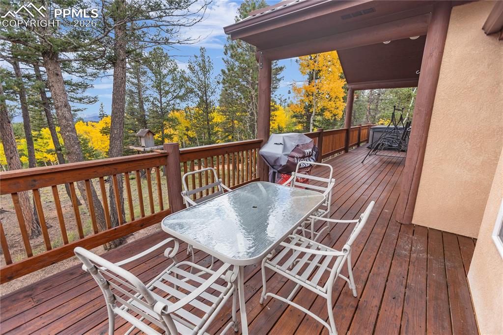 610 Cochetopa Road Florissant CO 80816