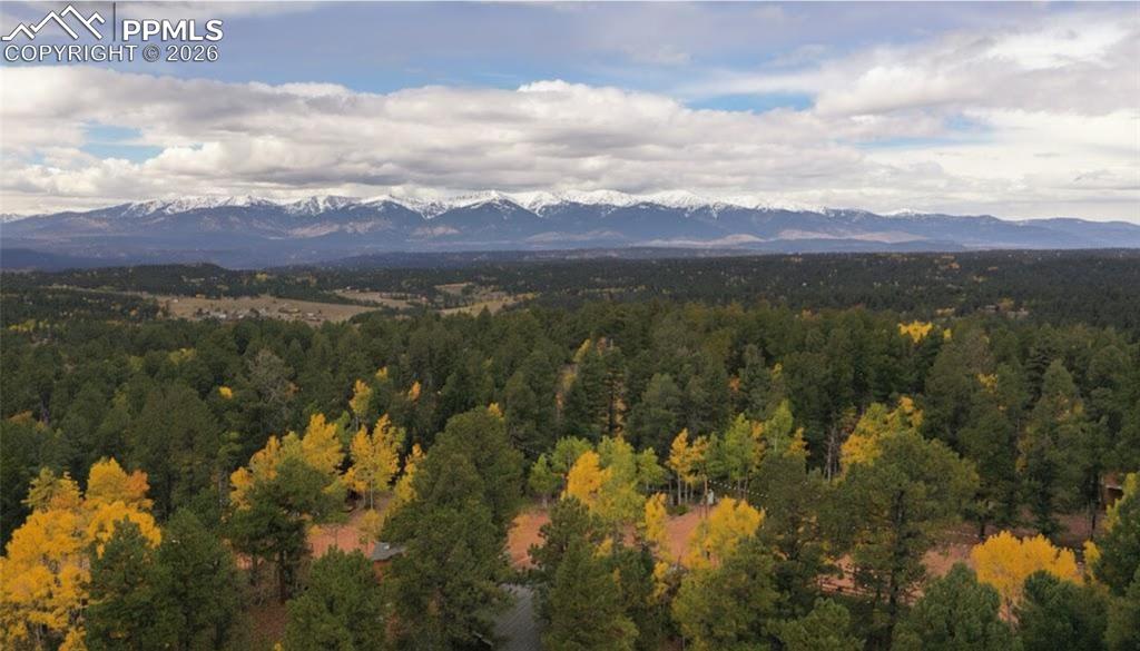 610 Cochetopa Road Florissant CO 80816