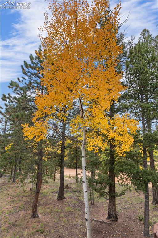 610 Cochetopa Road Florissant CO 80816